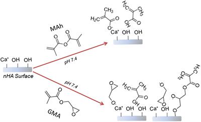 An Alternative Approach to the Surface Methacrylation of Non-stoichiometric Hydroxyapatite Nanoparticles for Use in Bone-Inspired Composites